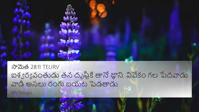 సామెత 28:11 TELIRV Bible Verse Image