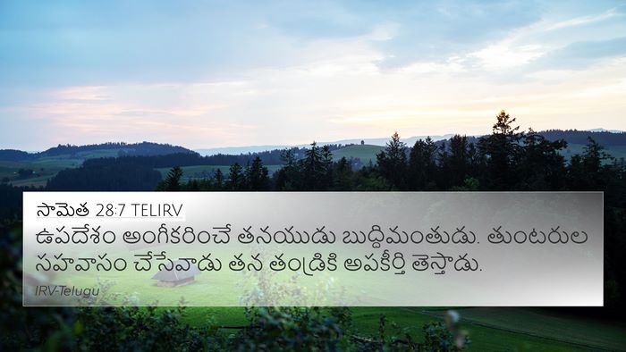 సామెత 28:7 TELIRV Bible Verse Image