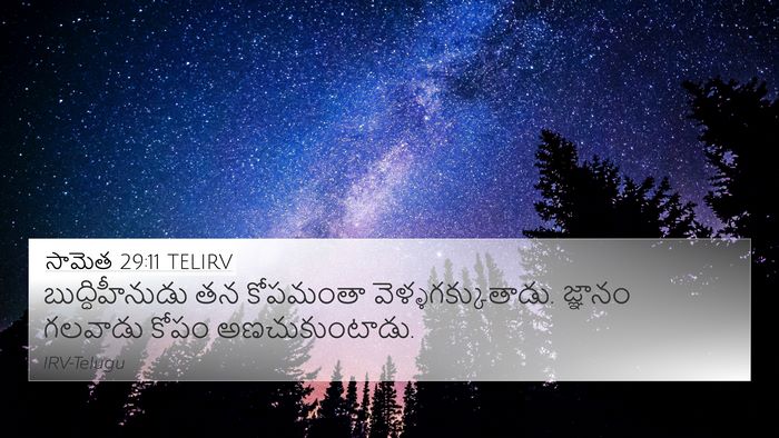 సామెత 29:11 TELIRV Bible Verse Image