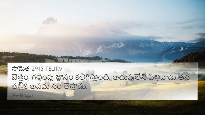 సామెత 29:15 TELIRV Bible Verse Image