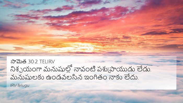 సామెత 30:2 TELIRV Bible Verse Image