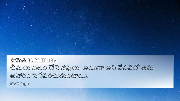 సామెత 30:25 TELIRV Bible Verse Image