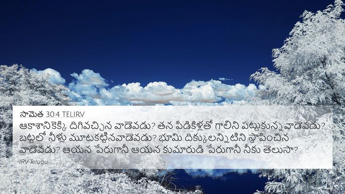 సామెత 30:4 TELIRV Bible Verse Image