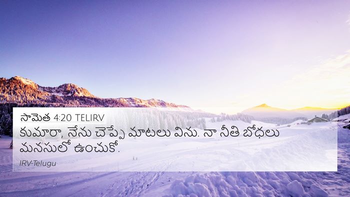 సామెత 4:20 TELIRV Bible Verse Image