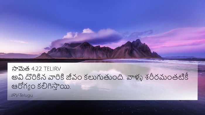 సామెత 4:22 TELIRV Bible Verse Image