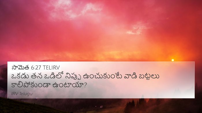 సామెత 6:27 TELIRV Bible Verse Image