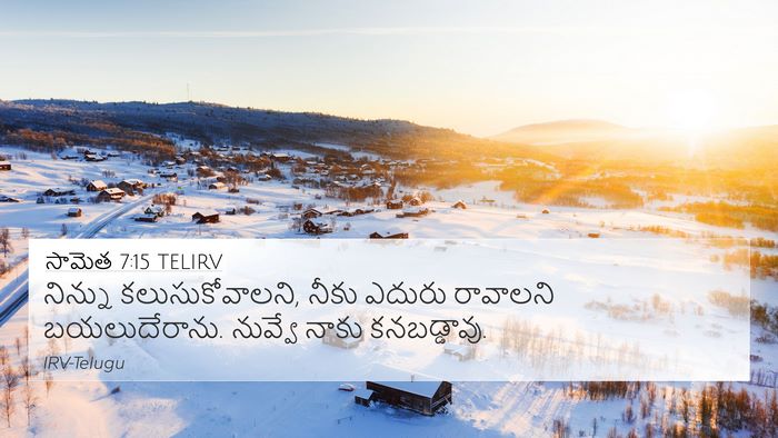 సామెత 7:15 TELIRV 4K Wallpaper - నిన్ను - 4K Wallpaper Bible Verse