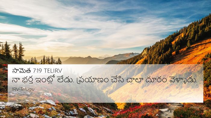 సామెత 7:19 TELIRV 4K Wallpaper - నా భర్త ఇంట్లో - 4K Wallpaper Bible Verse