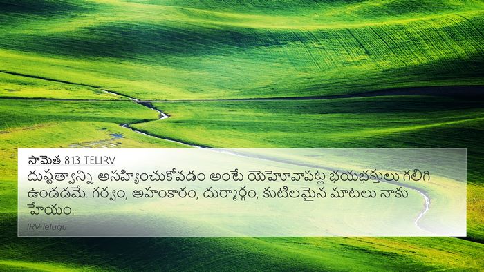 సామెత 8:13 TELIRV Bible Verse Image