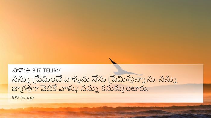 సామెత 8:17 TELIRV Bible Verse Image