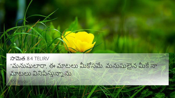 సామెత 8:4 TELIRV Bible Verse Image