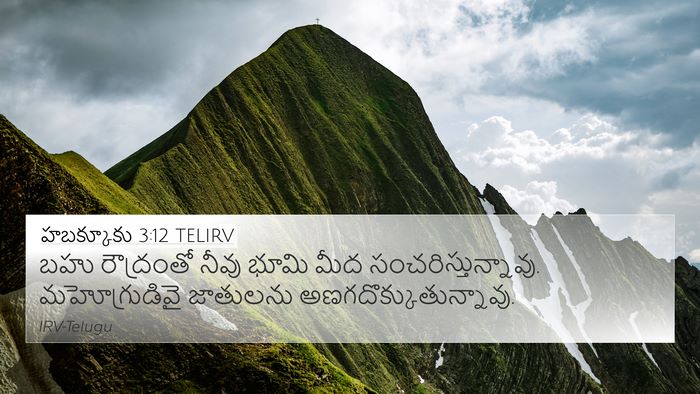 హబక్కూకు 3:12 TELIRV Bible Verse Image