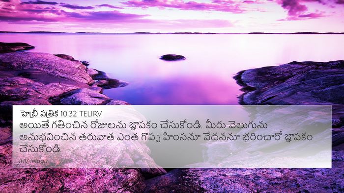 హెబ్రీ పత్రిక 10:32 TELIRV Bible Verse Image