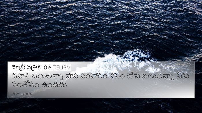 హెబ్రీ పత్రిక 10:6 TELIRV Bible Verse Image
