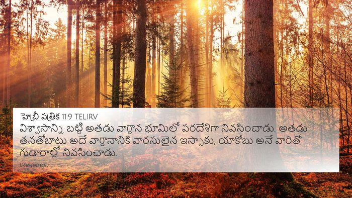హెబ్రీ పత్రిక 11:9 TELIRV Bible Verse Image