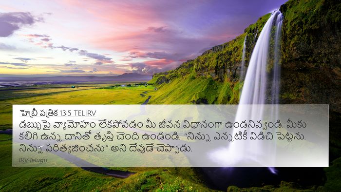 హెబ్రీ పత్రిక 13:5 TELIRV Bible Verse Image