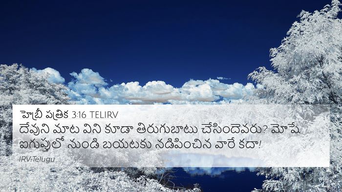 హెబ్రీ పత్రిక 3:16 TELIRV Bible Verse Image