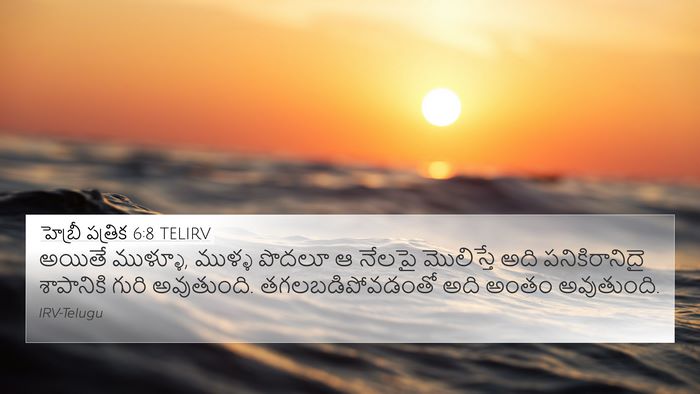 హెబ్రీ పత్రిక 6:8 TELIRV Bible Verse Image