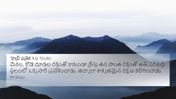 హెబ్రీ పత్రిక 9:12 TELIRV Bible Verse Image