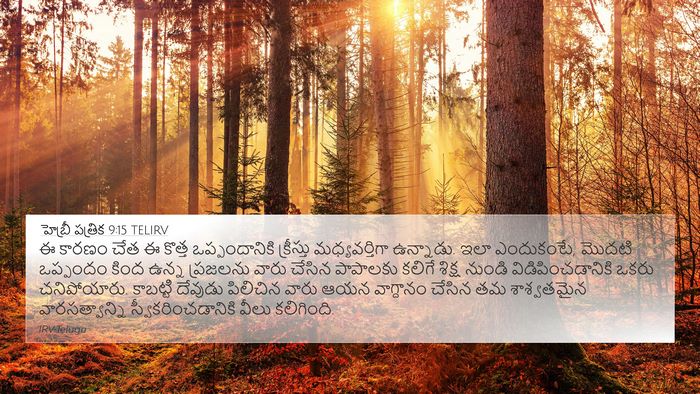 హెబ్రీ పత్రిక 9:15 TELIRV Bible Verse Image