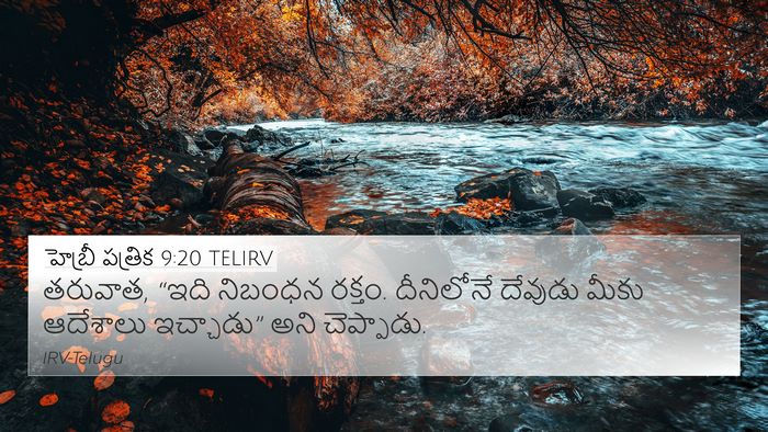 హెబ్రీ పత్రిక 9:20 TELIRV 4K Wallpaper - తరువాత, “ఇది - 4K Wallpaper Bible Verse