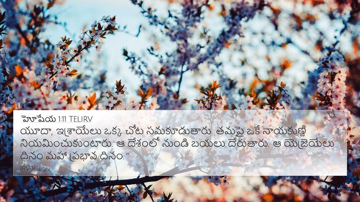 హోషేయ 1:11 TELIRV Bible Verse Image