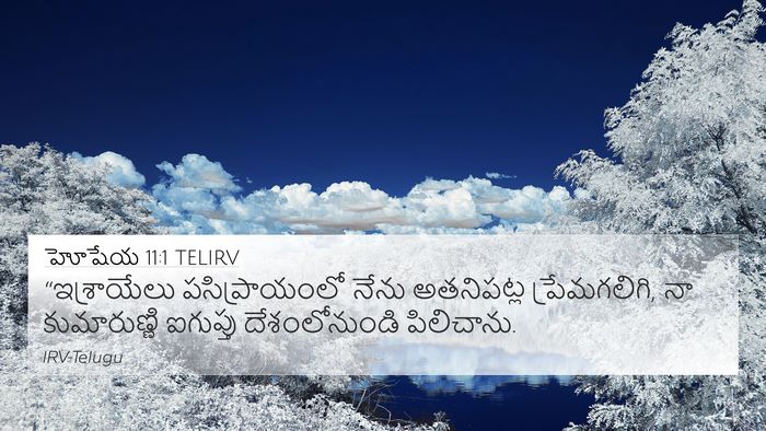 హోషేయ 11:1 TELIRV Bible Verse Image