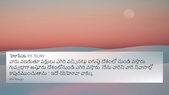 హోషేయ 11:11 TELIRV Bible Verse Image