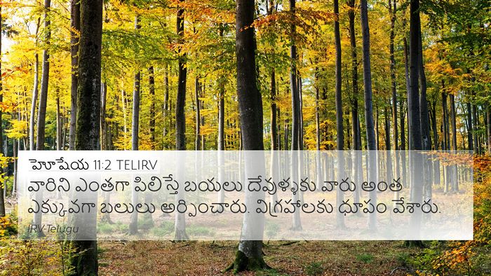 హోషేయ 11:2 TELIRV Bible Verse Image