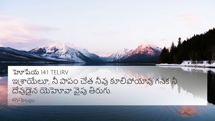 హోషేయ 14:1 TELIRV Bible Verse Image