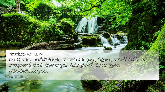 హోషేయ 4:3 TELIRV Bible Verse Image
