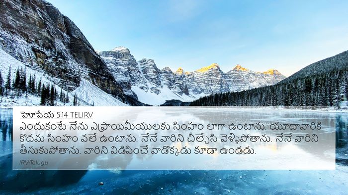 హోషేయ 5:14 TELIRV Bible Verse Image