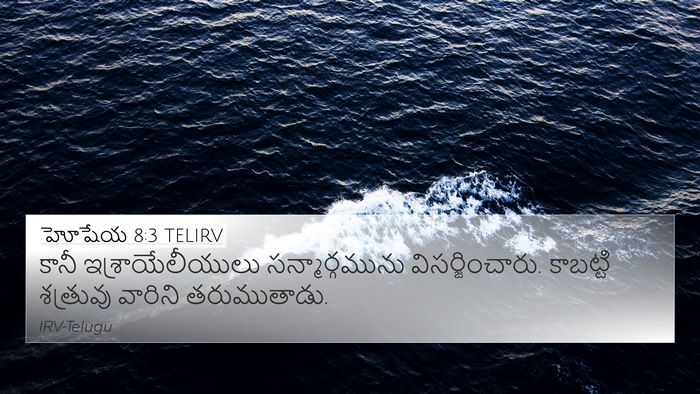 హోషేయ 8:3 TELIRV 4K Wallpaper - కానీ - 4K Wallpaper Bible Verse
