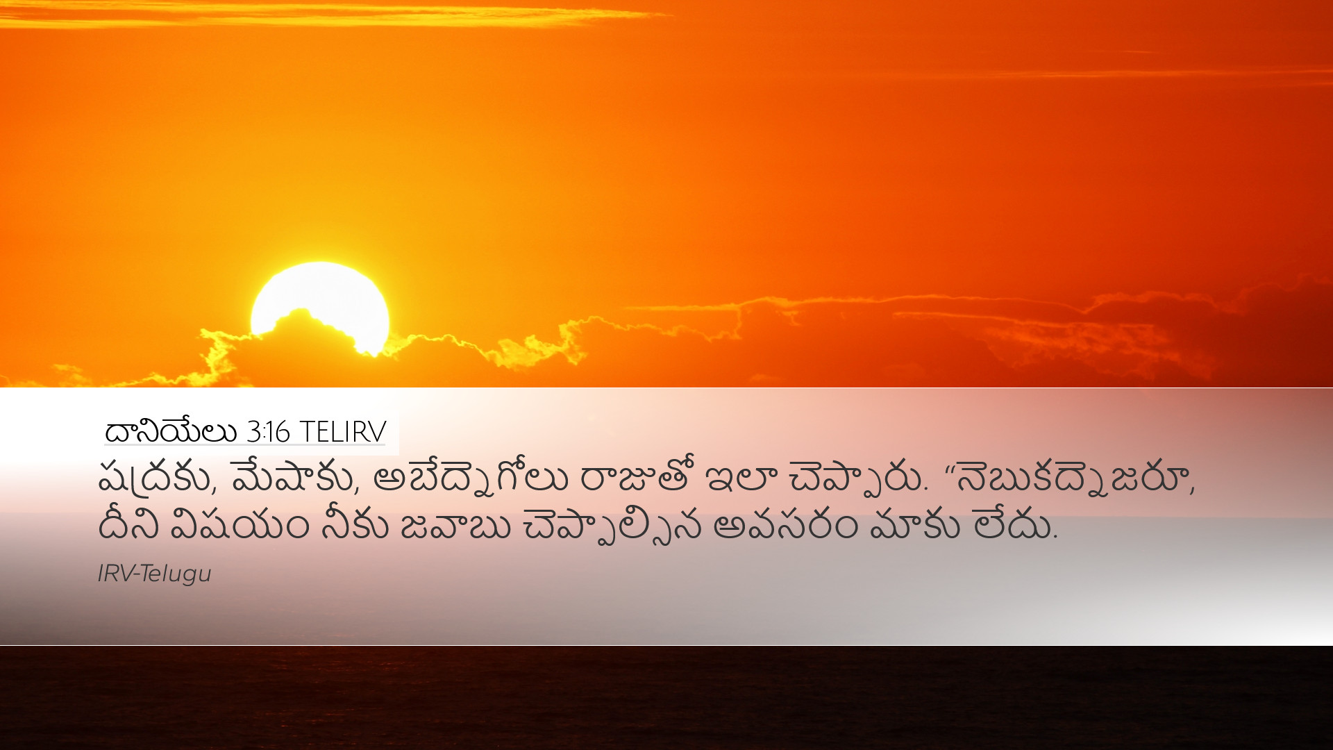 దానియేలు 3:16 TELIRV Desktop Wallpaper - షద్రకు, మేషాకు,