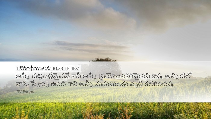 1 కొరింథీయులకు 10:23 TELIRV Bible Verse Image