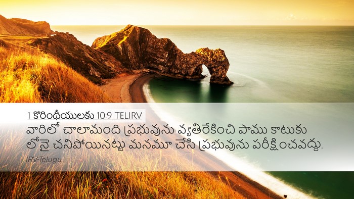 1 కొరింథీయులకు 10:9 TELIRV Bible Verse Image