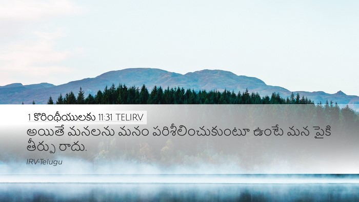 1 కొరింథీయులకు 11:31 TELIRV Bible Verse Image