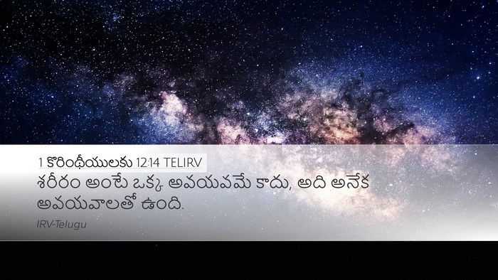 1 కొరింథీయులకు 12:14 TELIRV Bible Verse Image