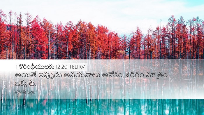 1 కొరింథీయులకు 12:20 TELIRV Bible Verse Image