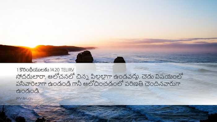1 కొరింథీయులకు 14:20 TELIRV Bible Verse Image