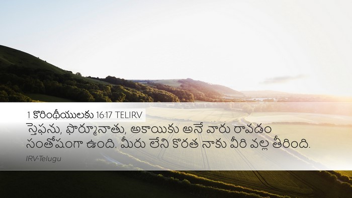 1 కొరింథీయులకు 16:17 TELIRV Bible Verse Image