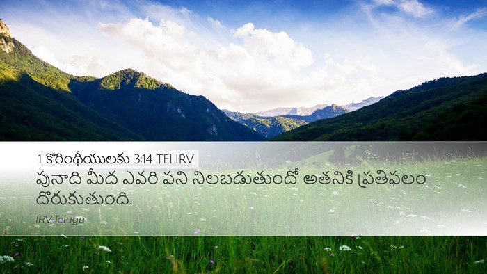 1 కొరింథీయులకు 3:14 TELIRV Bible Verse Image