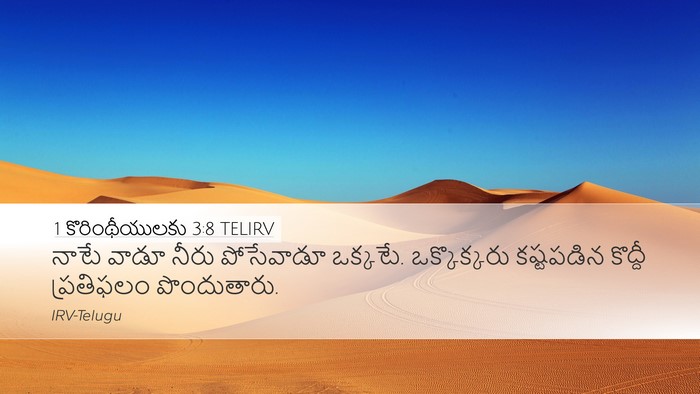 1 కొరింథీయులకు 3:8 TELIRV Bible Verse Image