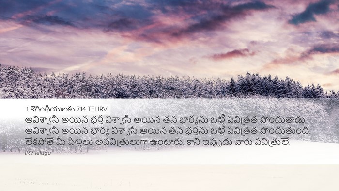 1 కొరింథీయులకు 7:14 TELIRV Bible Verse Image