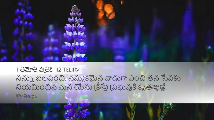 1 తిమోతి పత్రిక 1:12 TELIRV Bible Verse Image