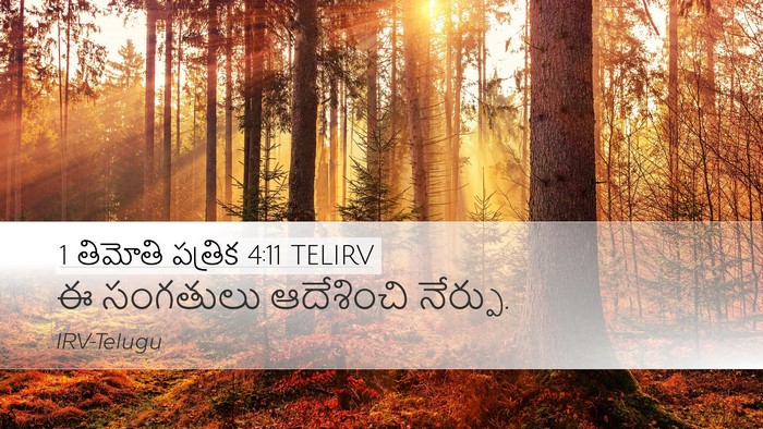 1 తిమోతి పత్రిక 4:11 TELIRV Bible Verse Image
