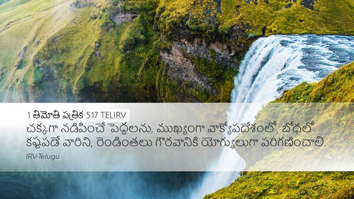 1 తిమోతి పత్రిక 5:17 TELIRV Bible Verse Image