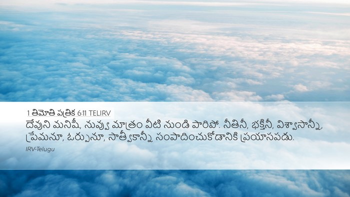 1 తిమోతి పత్రిక 6:11 TELIRV Bible Verse Image