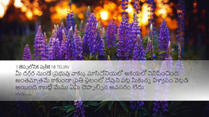 1 తెస్సలోనిక పత్రిక 1:8 TELIRV Bible Verse Image