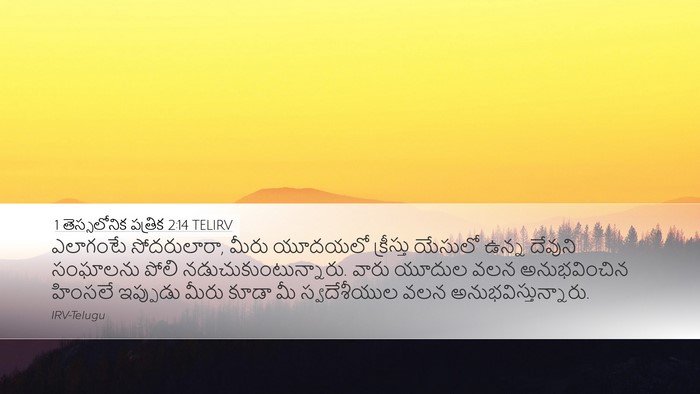 1 తెస్సలోనిక పత్రిక 2:14 TELIRV Bible Verse Image